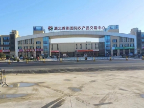 孝感首衡城智慧冷鏈物流A地塊、M地塊大門(mén)幕墻工程